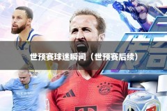 世预赛球迷瞬间（世预赛后续）