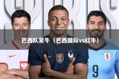 巴西队蒙牛（巴西国际vs红牛）