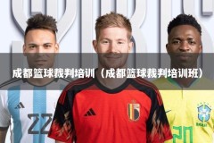 成都篮球裁判培训（成都篮球裁判培训班）