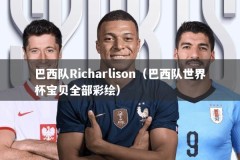 巴西队Richarlison（巴西队世界杯宝贝全部彩绘）