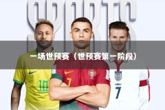一场世预赛（世预赛第一阶段）