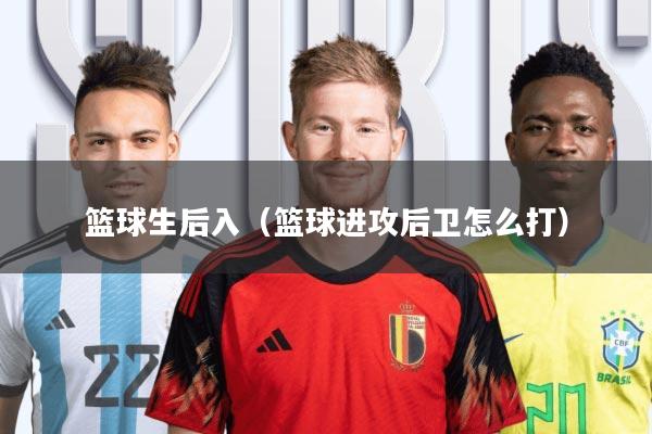 篮球生后入(篮球进攻后卫怎么打)