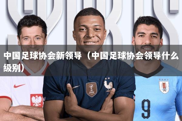 中国足球协会新领导(中国足球协会领导什么级别)